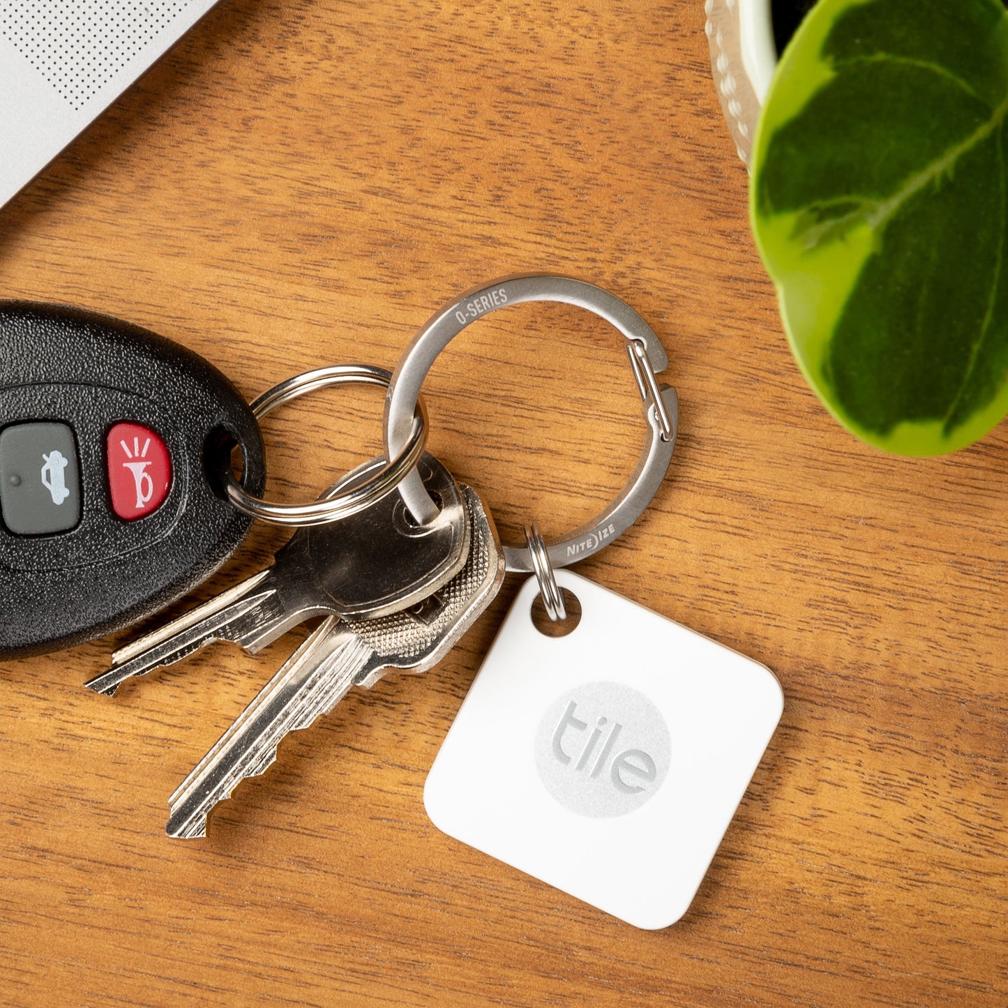 O-SERIES GATED KEY RING