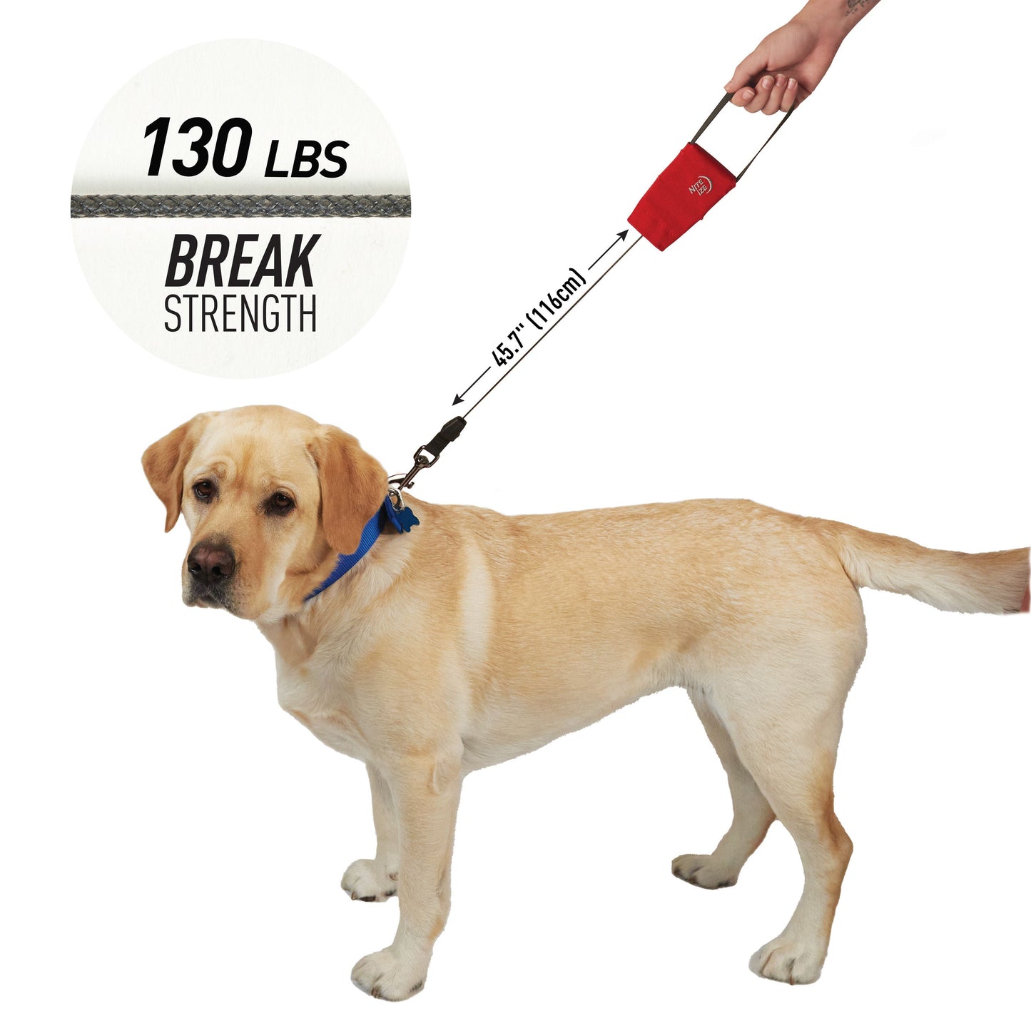 RADDOG RETRACTABLE POCKET LEASH