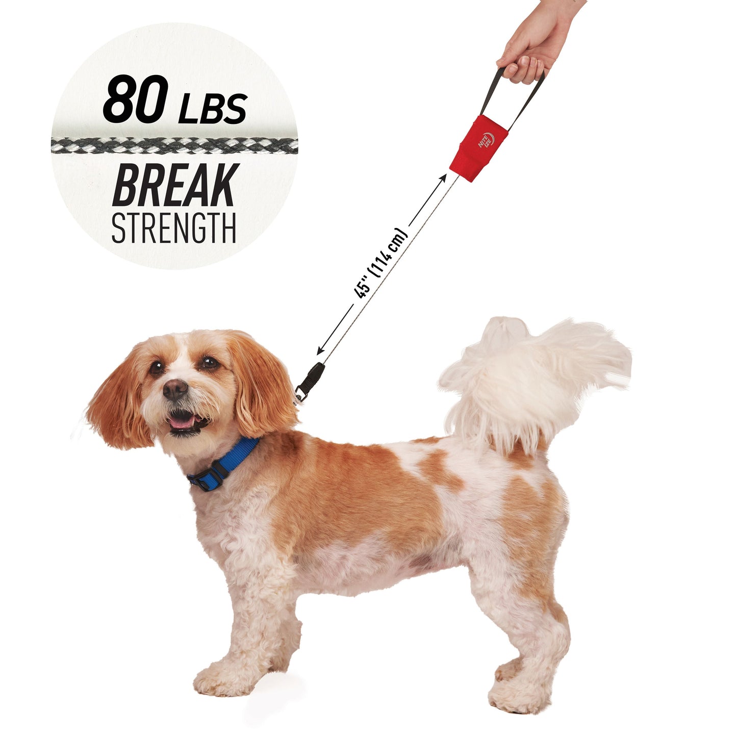 RADDOG RETRACTABLE POCKET LEASH