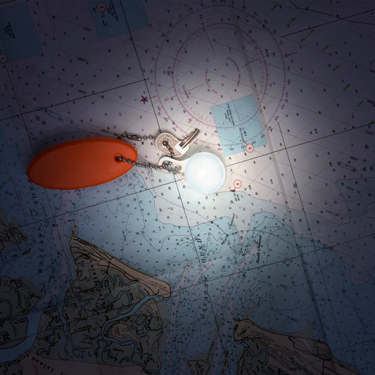 SPOTLIT CARABINER LIGHT