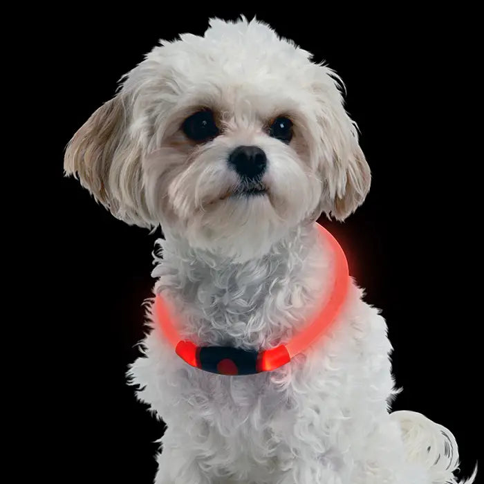 NITEHOWL® LED SAFETY NECKLACE