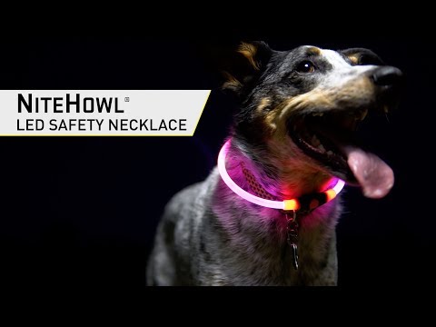 NITEHOWL® LED SAFETY NECKLACE