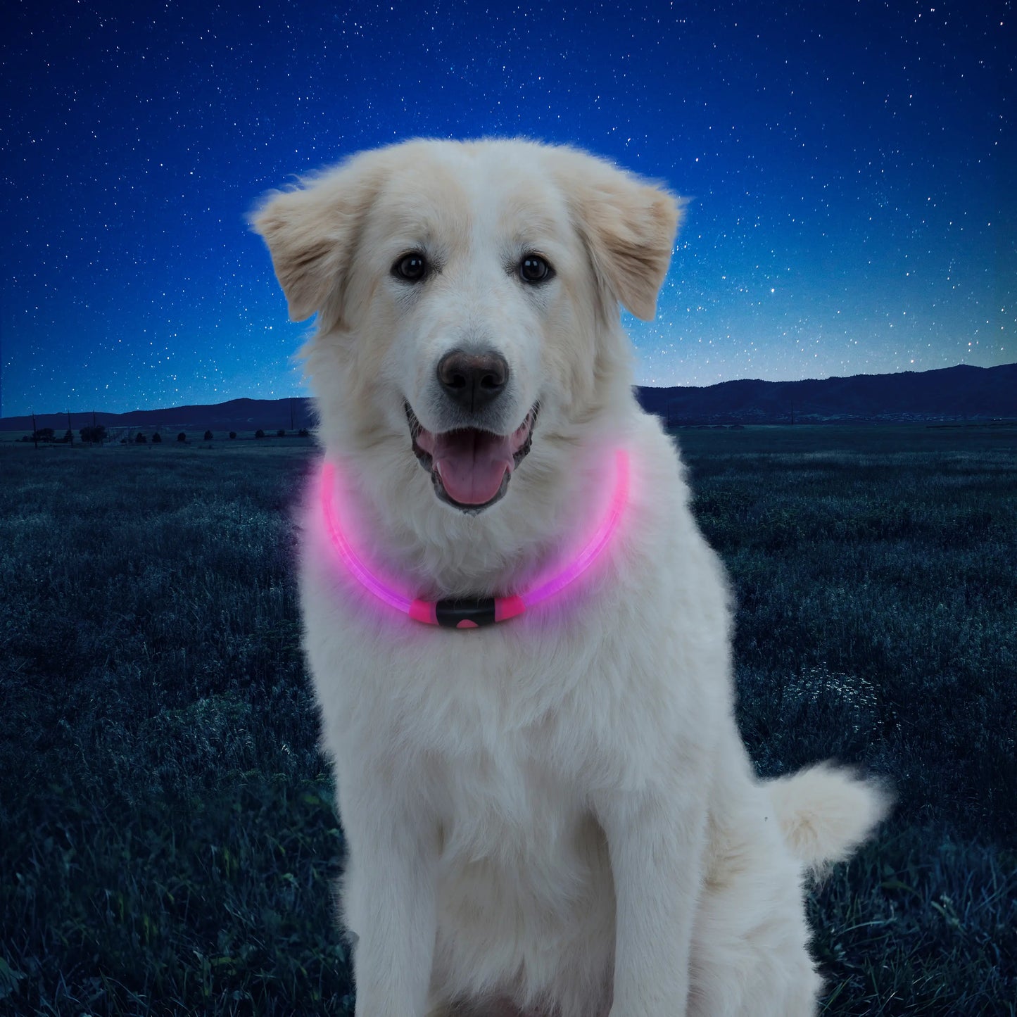 NITEHOWL® LED SAFETY NECKLACE