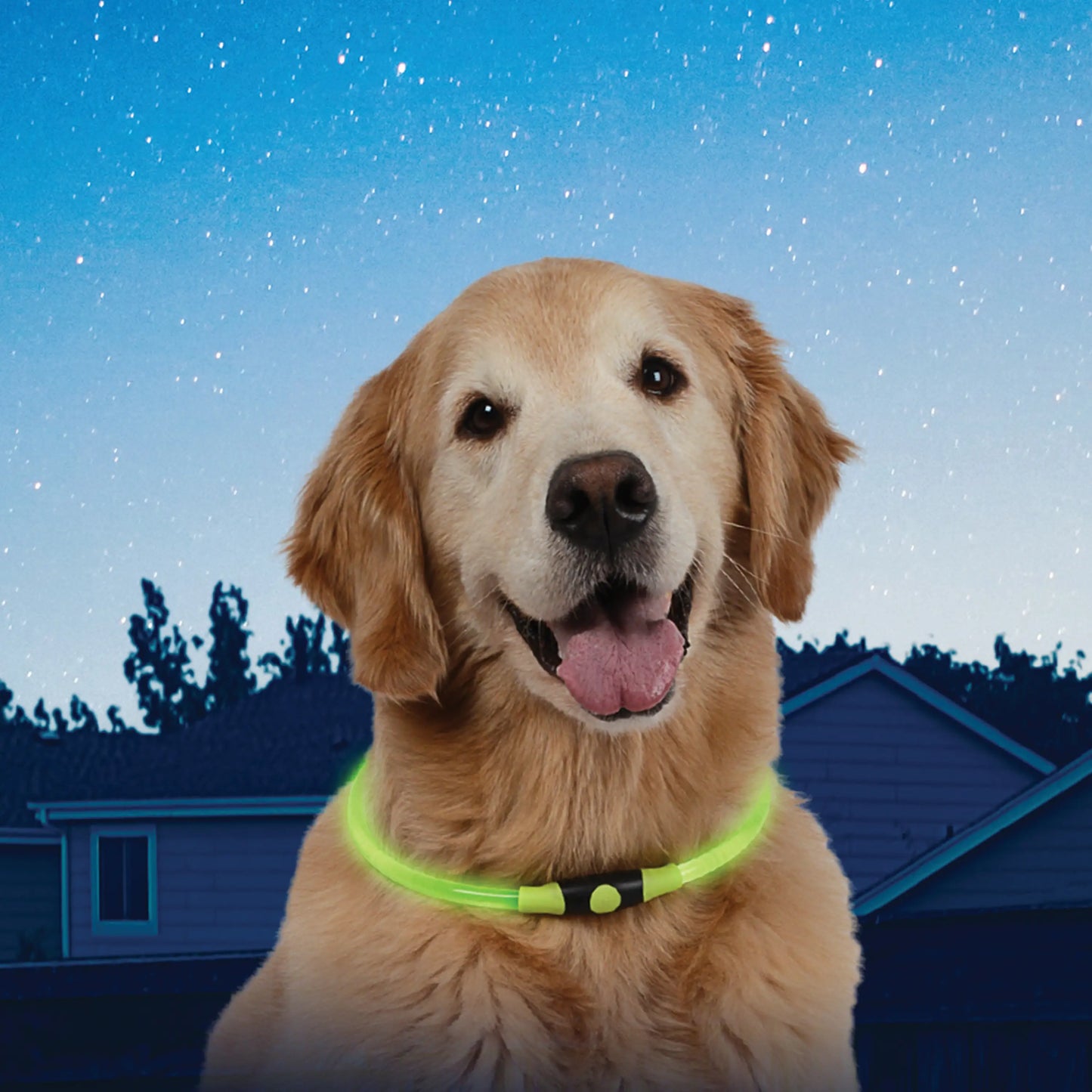 NITEHOWL® LED SAFETY NECKLACE