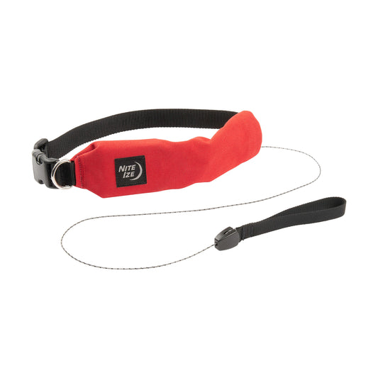 RADDOG ALL-IN-ONE COLLAR LEASH