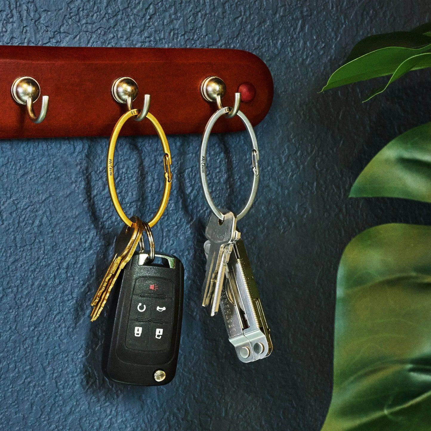 CARABINER ELYPZ KEY