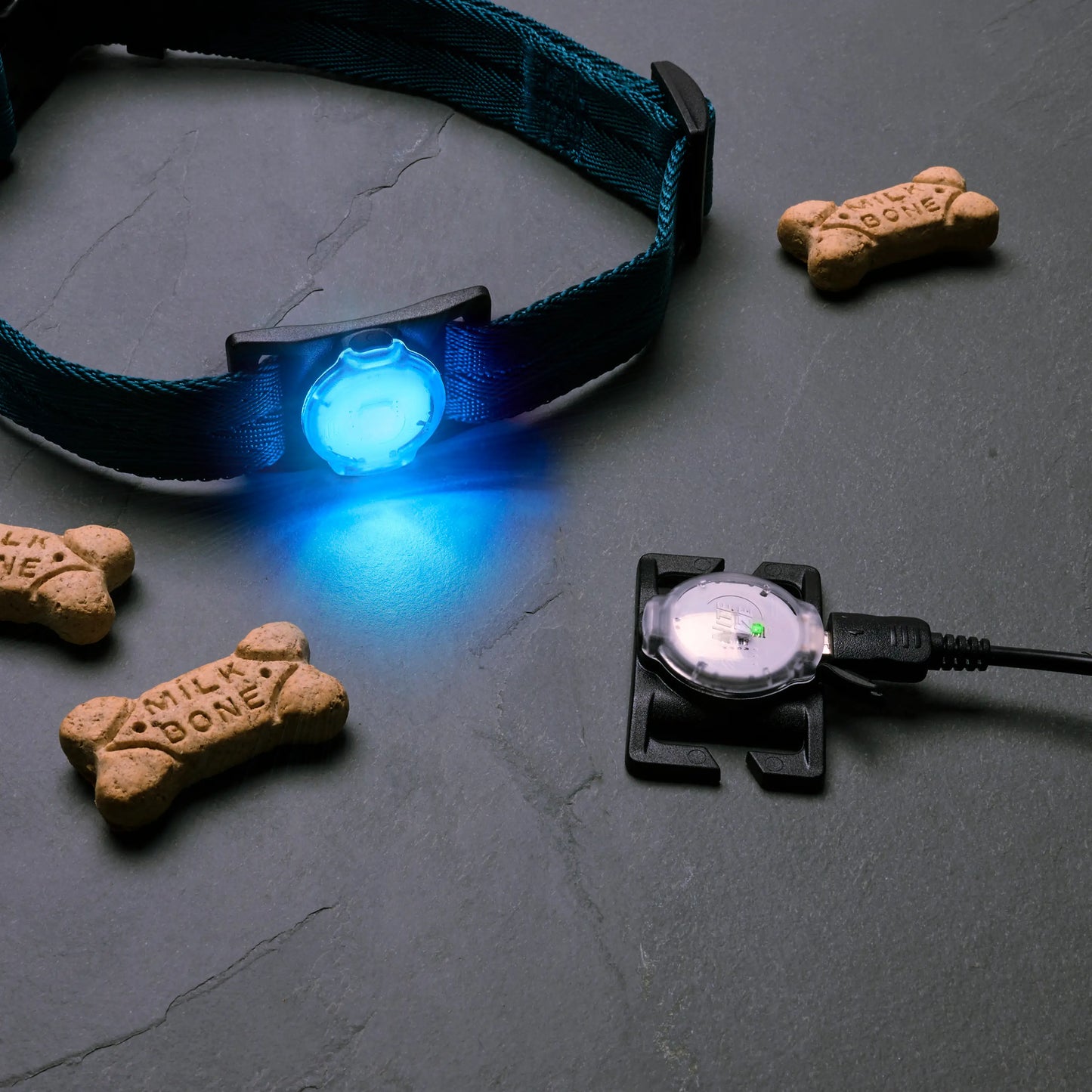 NITEDOG™ RECHARGEABLE PET LIGHT - DISC-O TECH™