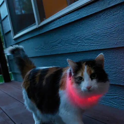 NITEMEOW™ RECHARGEABLE LED SAFETY NECKLACE - DISC-O SELECT™