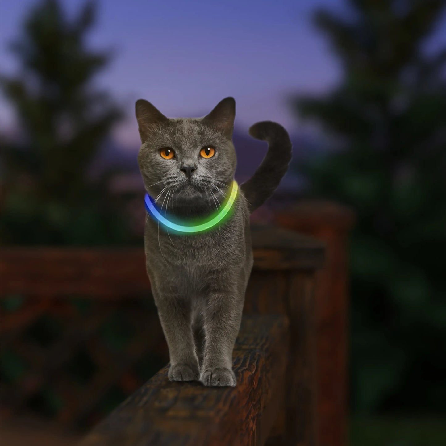 NITEMEOW™ RECHARGEABLE LED SAFETY NECKLACE - DISC-O SELECT™