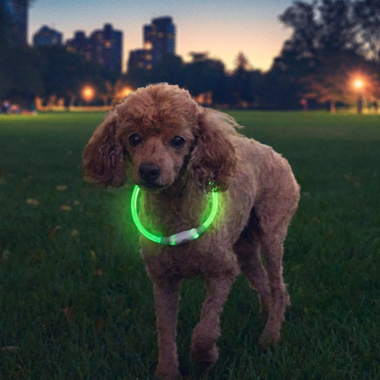 NITEHOWL® RECHARGEABLE LED SAFETY NECKLACE