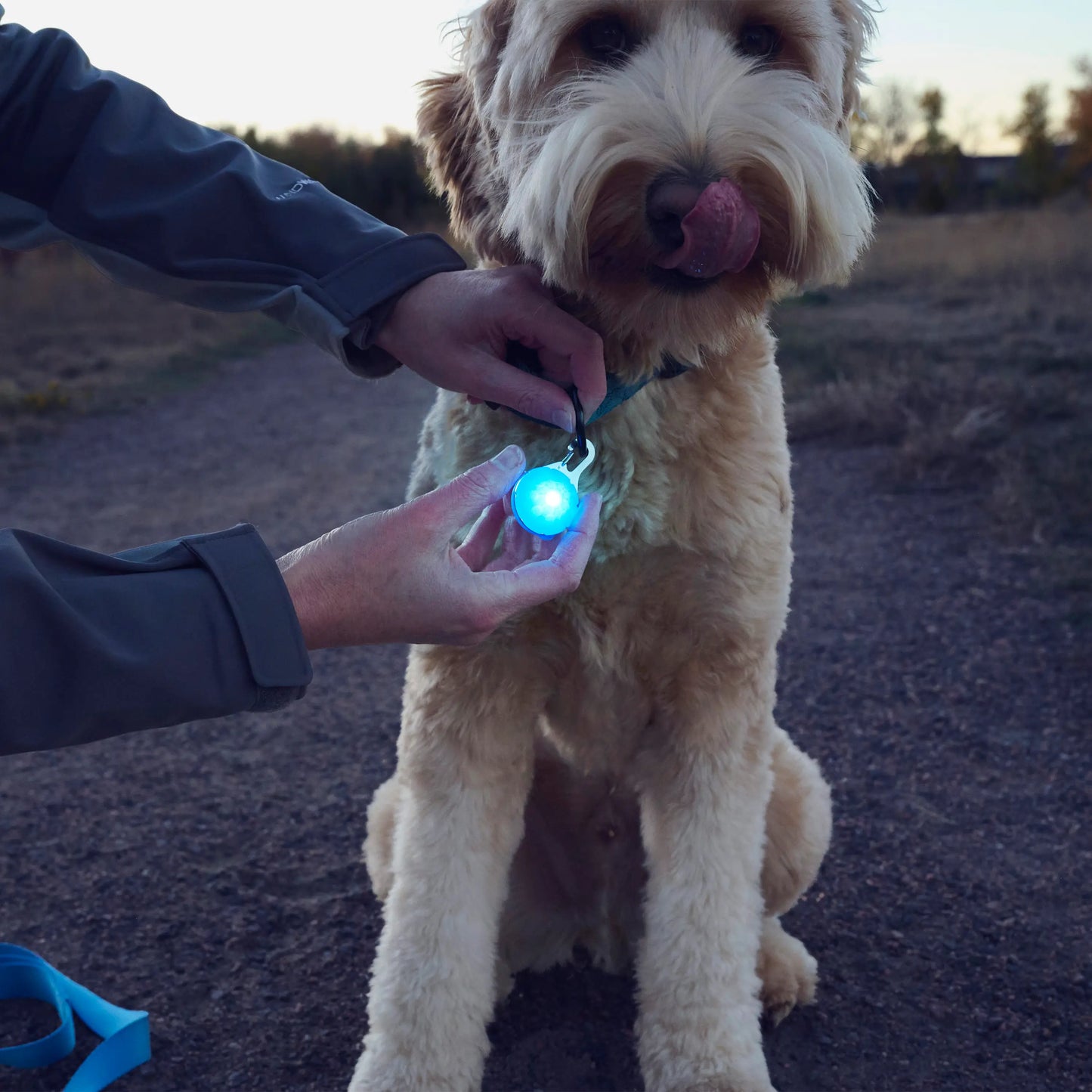 SPOTLIT® RECHARGEABLE COLLAR LIGHT