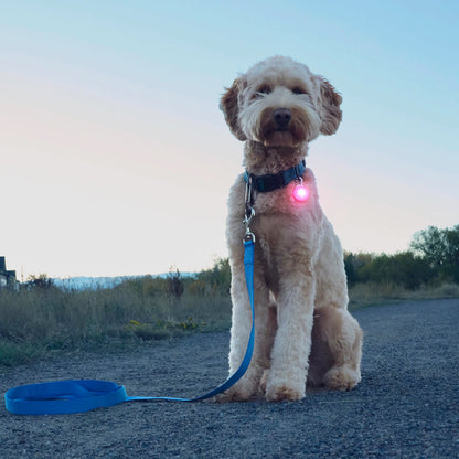 SPOTLIT® RECHARGEABLE COLLAR LIGHT