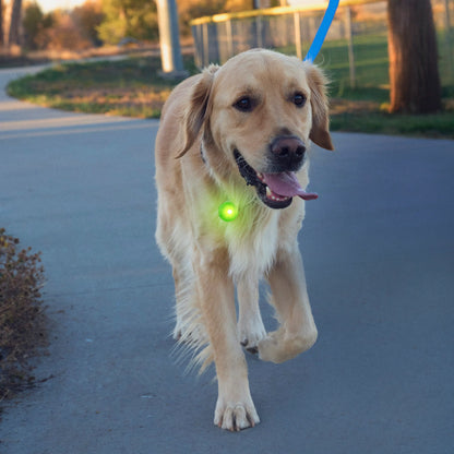 SPOTLIT® RECHARGEABLE COLLAR LIGHT