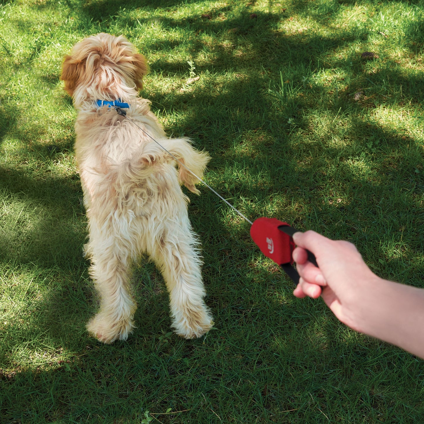 RadDog Retractable Pocket Leash