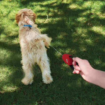 RadDog Retractable Pocket Leash