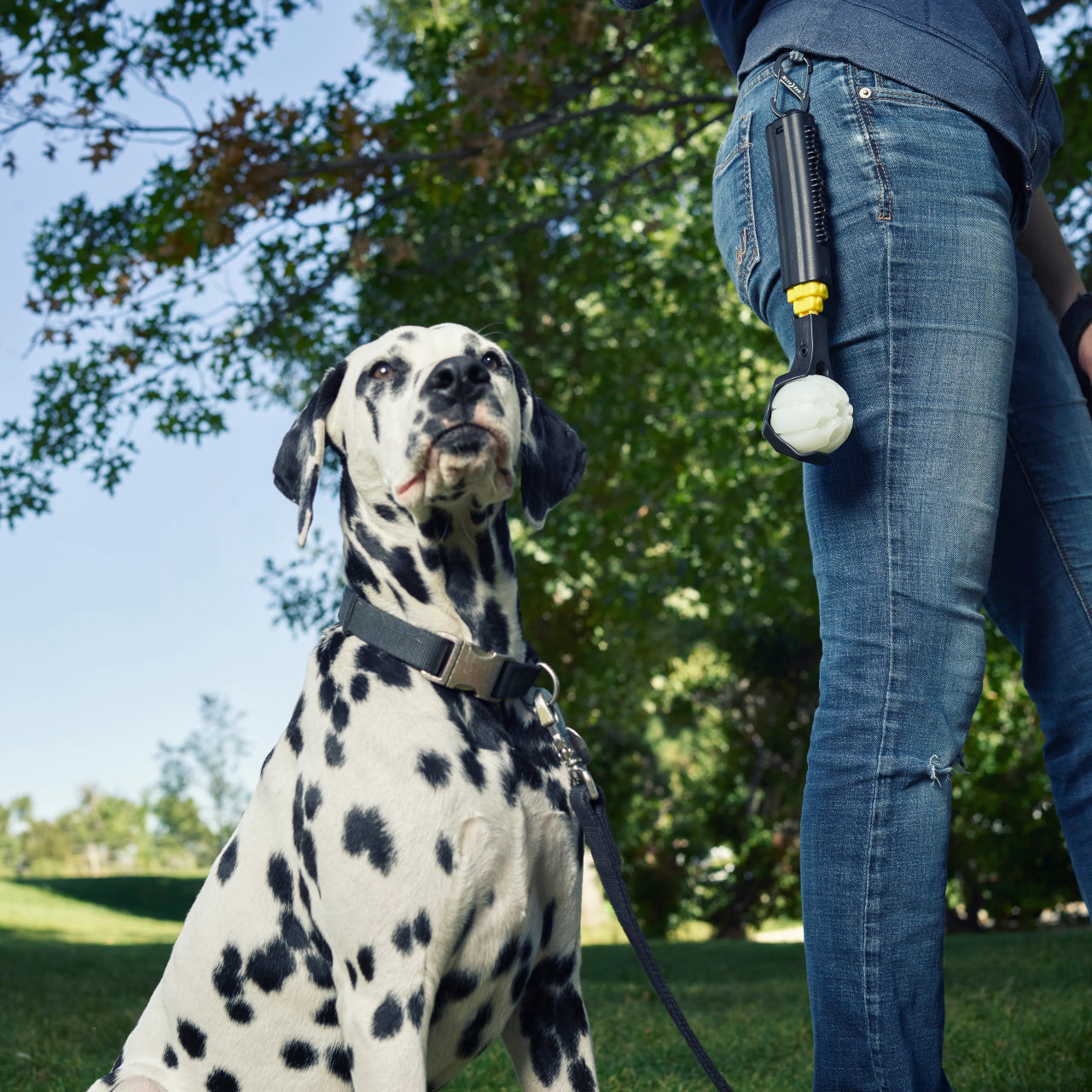 HUCK 'N TUCK GLOWSTREAK COLLAPSIBLE THROWER + LED BALL