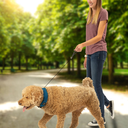 RADDOG ALL-IN-ONE COLLAR LEASH