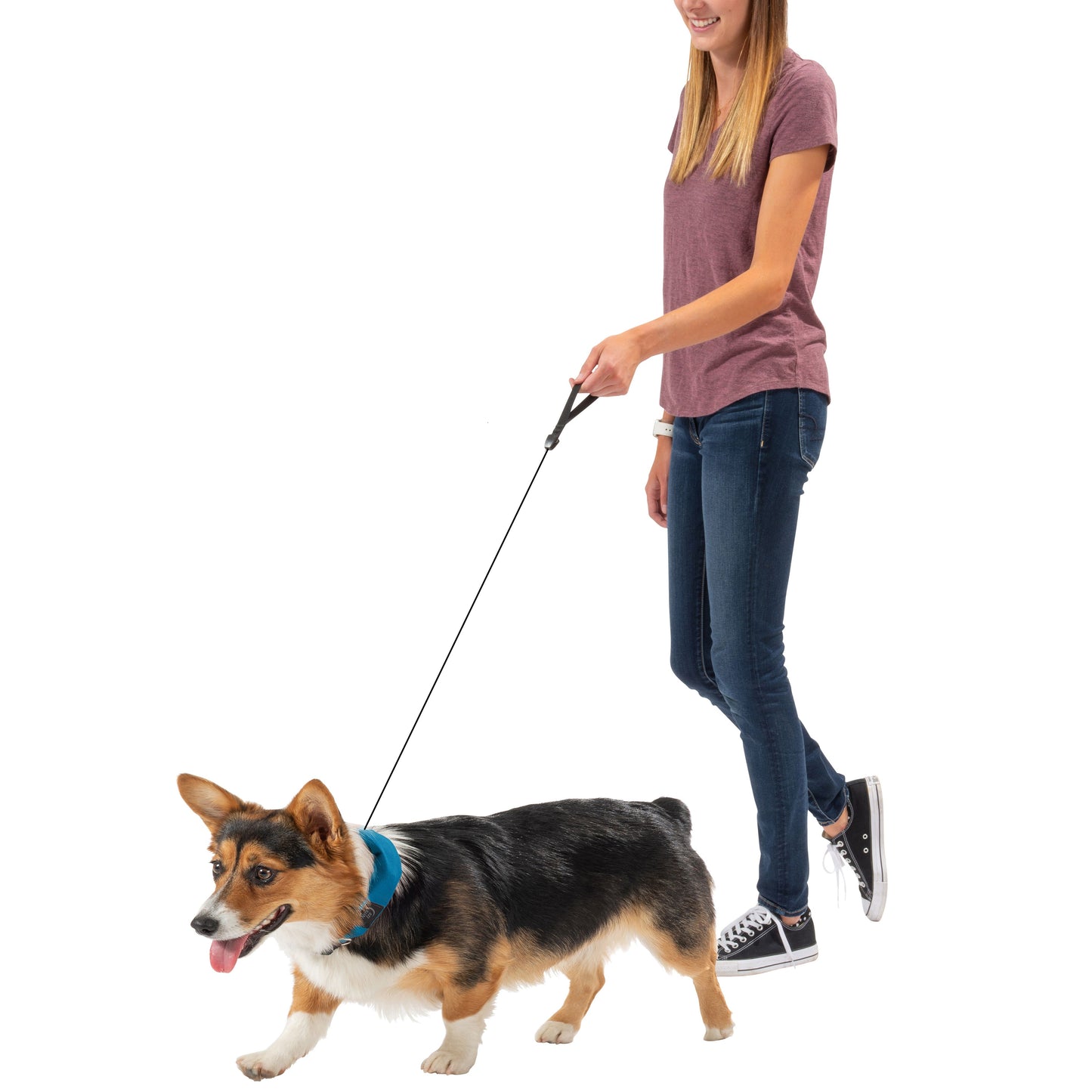 RADDOG ALL-IN-ONE COLLAR LEASH