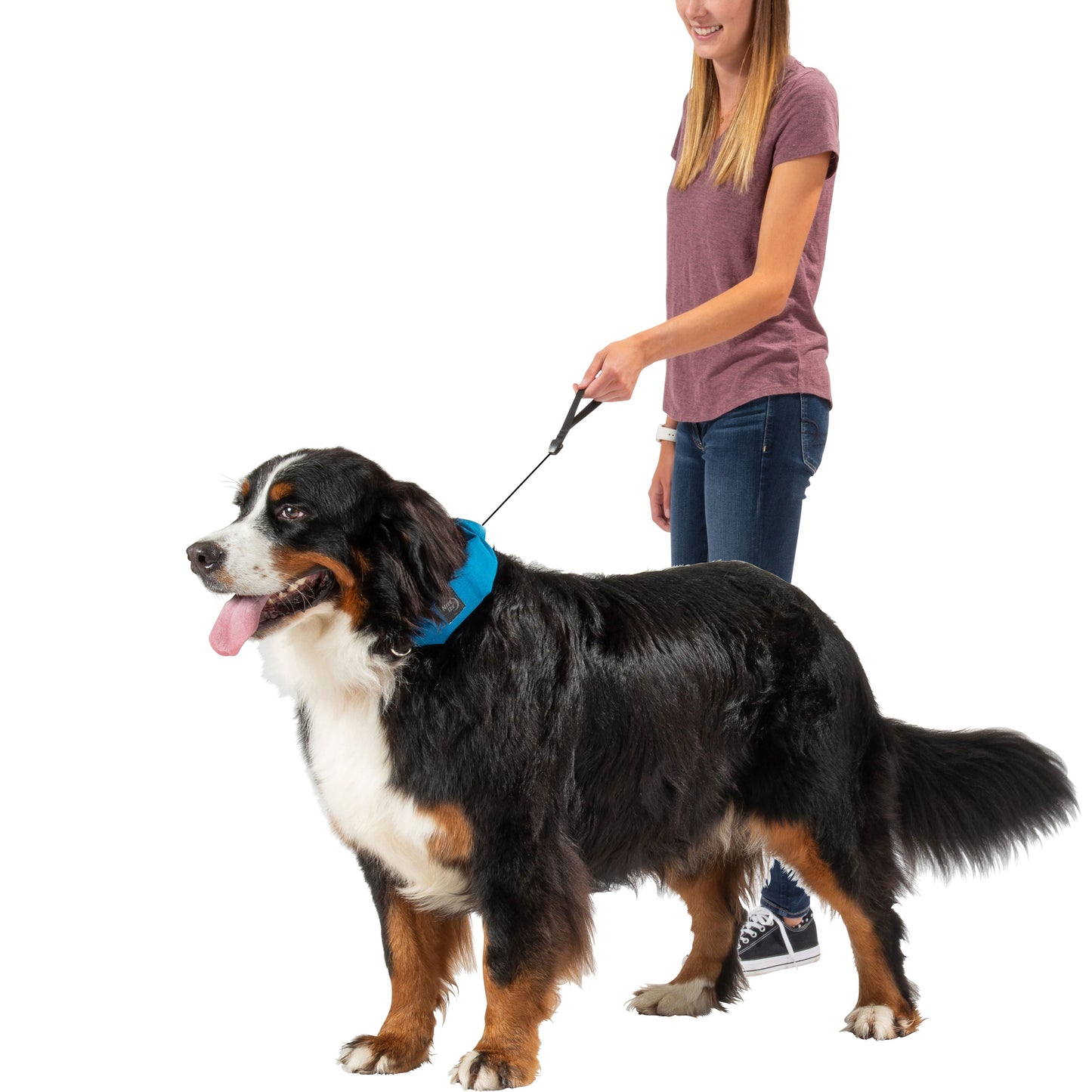 RADDOG ALL-IN-ONE COLLAR LEASH