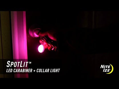 SpotLit Carabiner Light