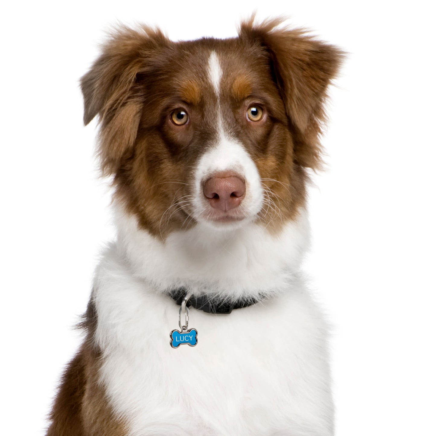 PET TAG MICROLINK CARABINER (SET OF 2)